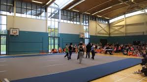 Image result for Teampulseparkour