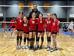 Image result for British Airways Volleyball Club