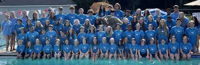 Image result for Box Hill Swim Team