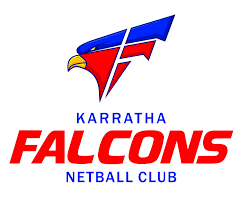 Image result for Falcons Netball Club