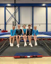Image result for City Of Hull Olympic Gymnastics Club