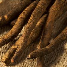 Attēlu rezultāti vaicājumam “Arctium lappa fruit”