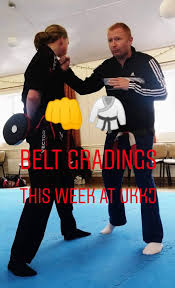 Image result for British Karate Shunen Jutsu