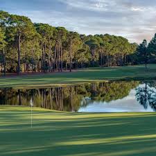 Image result for Dolphina Gc