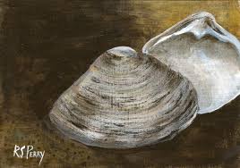 Attēlu rezultāti vaicājumam “Mya arenaria”