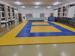 Image result for Felixstowe Judo club
