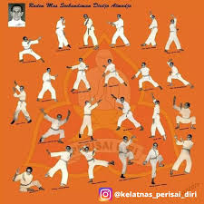 Image result for Silat Perisai Diri Classes Club