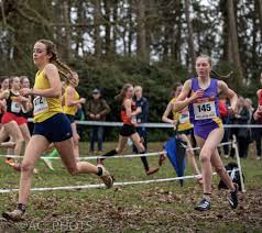 Image result for Brighton & Hove City Athletics Club