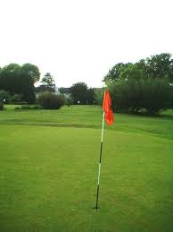 Image result for Dagenham Central Bowls Club