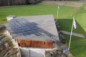 Image result for Valley End Cricket Club