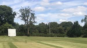 Image result for Laughton Cricket Club
