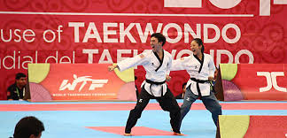 Image result for Chichester Tae Kwon Do
