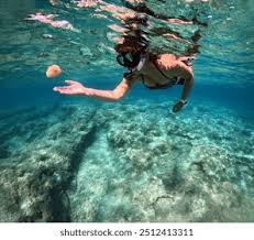 Image result for East Snorkellers