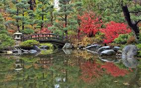 Image result for japanese gardens...