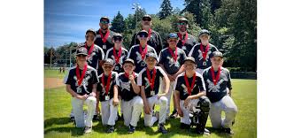 Image result for Elmbridge Girls` Little League