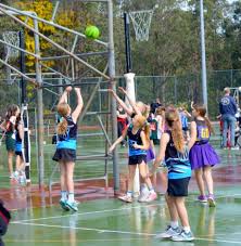 Image result for Rg7 Netball Club
