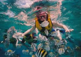 Image result for Wyndley NSC Snorkelling Club