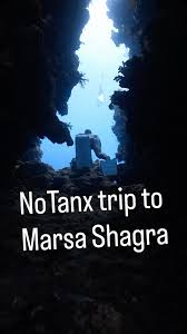 Image result for Notanx Freedive Club
