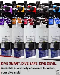 Image result for S England Dive Devil