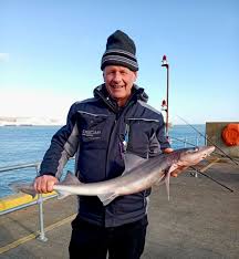 Image result for British Conger Club