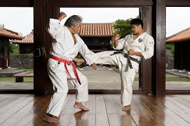 Image result for HEIWA SHOTOKAN KARATE CLUB