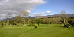 Image result for Carlow Golf Club