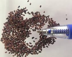 Attēlu rezultāti vaicājumam “Empetrum nigrum fruit”