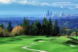 Image result for Bellevue