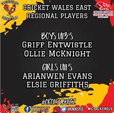 Image result for Croesyceiliog Cricket Club