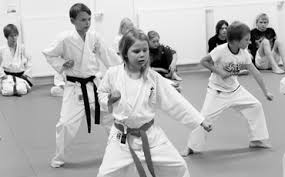 Image result for Taunton Karate Jutsu