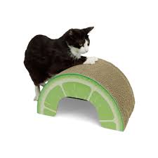 Image result for limecat