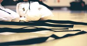 Image result for Thames Valley Shotokan Karate