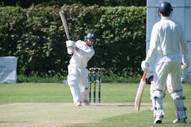 Image result for Alton Cricket Club