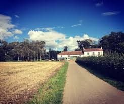 Image result for Crathorne Cricket Club