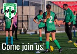 Image result for Ashtead Football Club