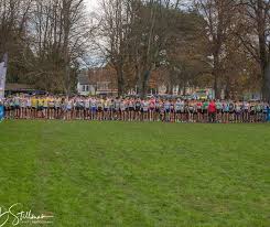 Image result for Deeside Aac