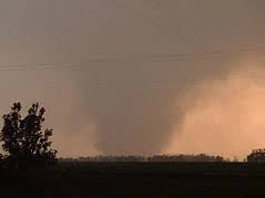 Image result for Leicester City Tornadoes