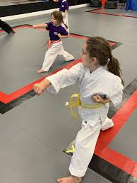 Image result for Championship Martial Arts Winter Springs