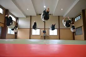 Image result for Tokei Martial Arts Club
