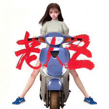 Image result for roujin z