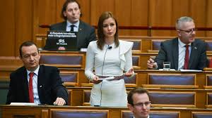 Image result for dúró dóra