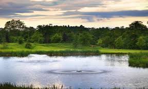 Image result for Carden Park Golf & Country Club