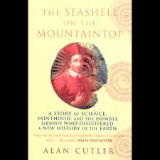 Image result for mountain top seashell