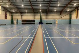 Image result for Cobham Netball Club