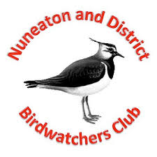 Image result for England Staffordshire Birding Club