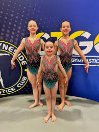 Image result for Gymnastics & Dance 4 Cheshire