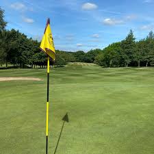 Image result for Alfreton Golf Club