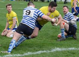 Image result for Halifax Vandals Rugby Union Football Club