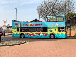 Image result for Tyneside Loipers