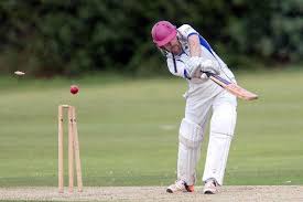 Image result for Whitchurch Wayfarers Cricket Club